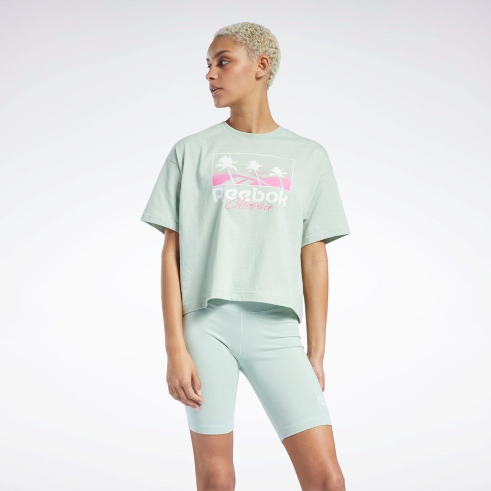 Reebok Classics Summer Grafisk T-Shirt Lyse | EKH637940