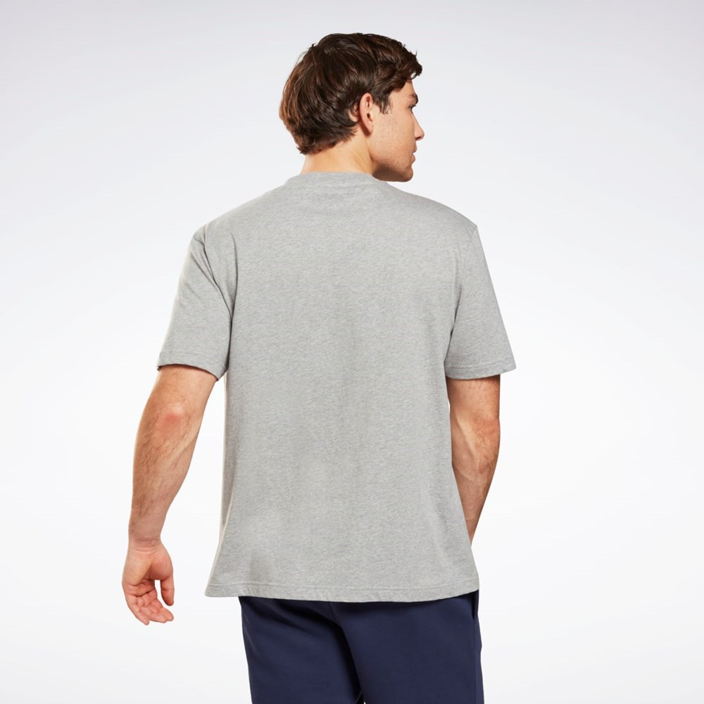 Reebok Grafisk Series T-Shirt Grå | VQO281043