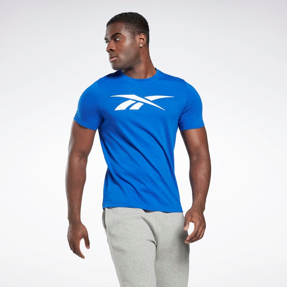 Reebok Reebok Grafisk Series Vector T-Shirt Blå | OFE179382