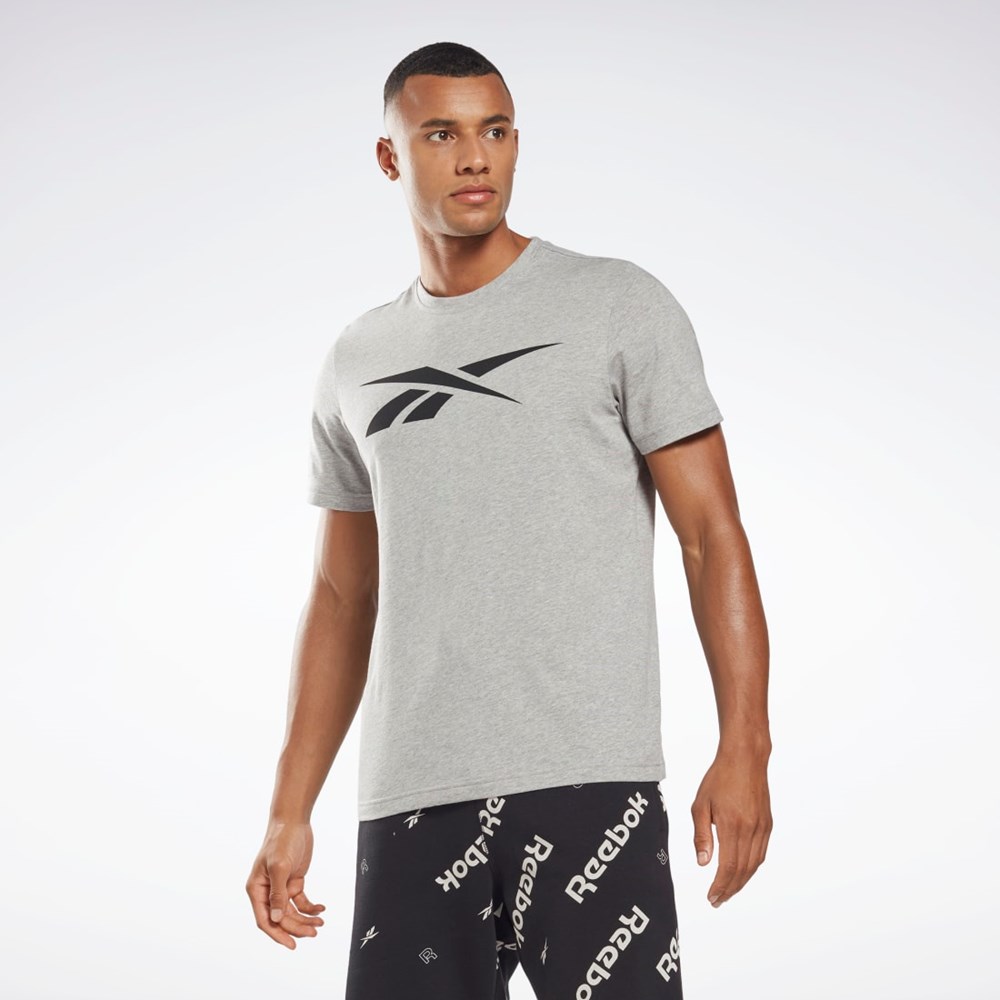 Reebok Reebok Grafisk Series Vector T-Shirt Grå | VIA310924