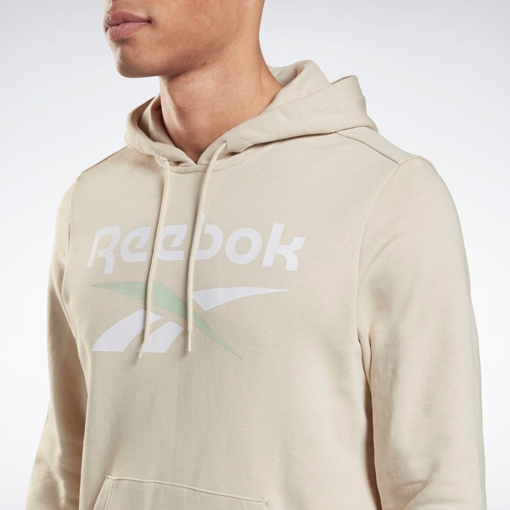 Reebok Reebok Identity Big Logo Hoodie Stucco | YUA692581