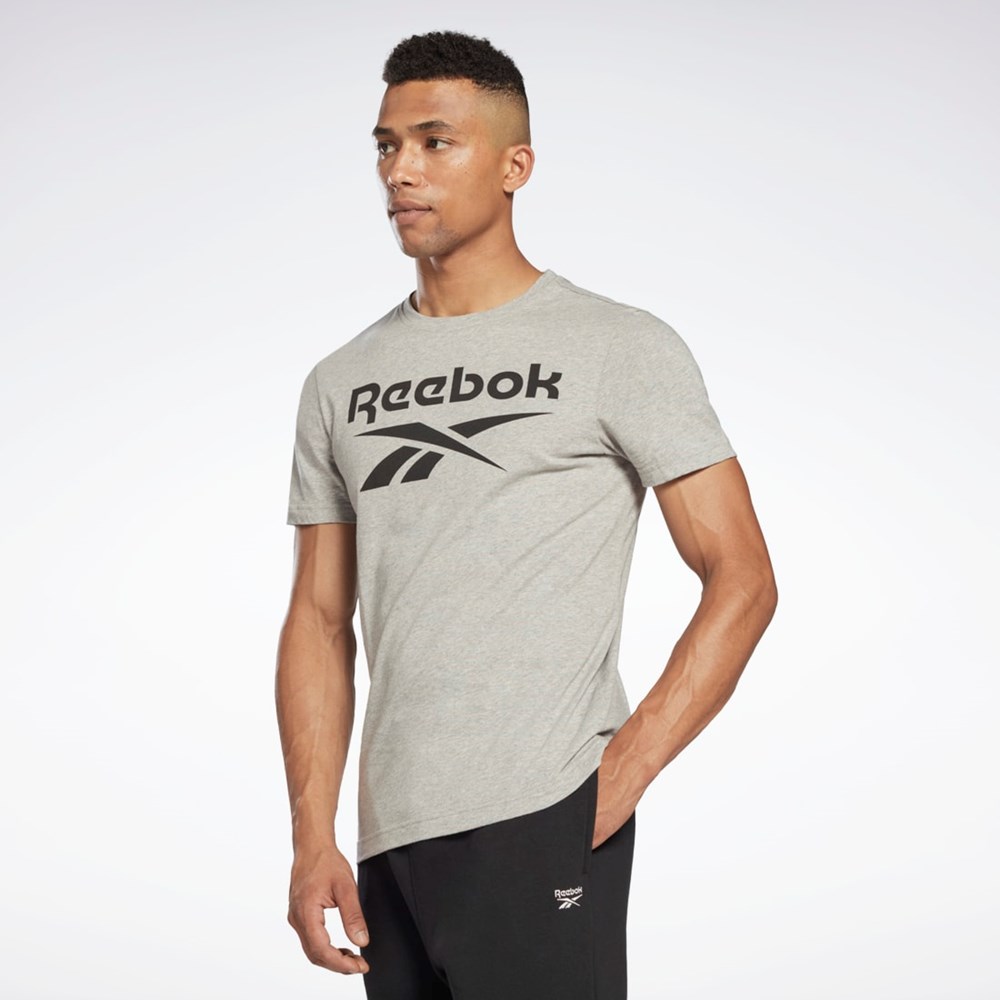 Reebok Reebok Identity Big Logo T-Shirt Grå | MZN482569