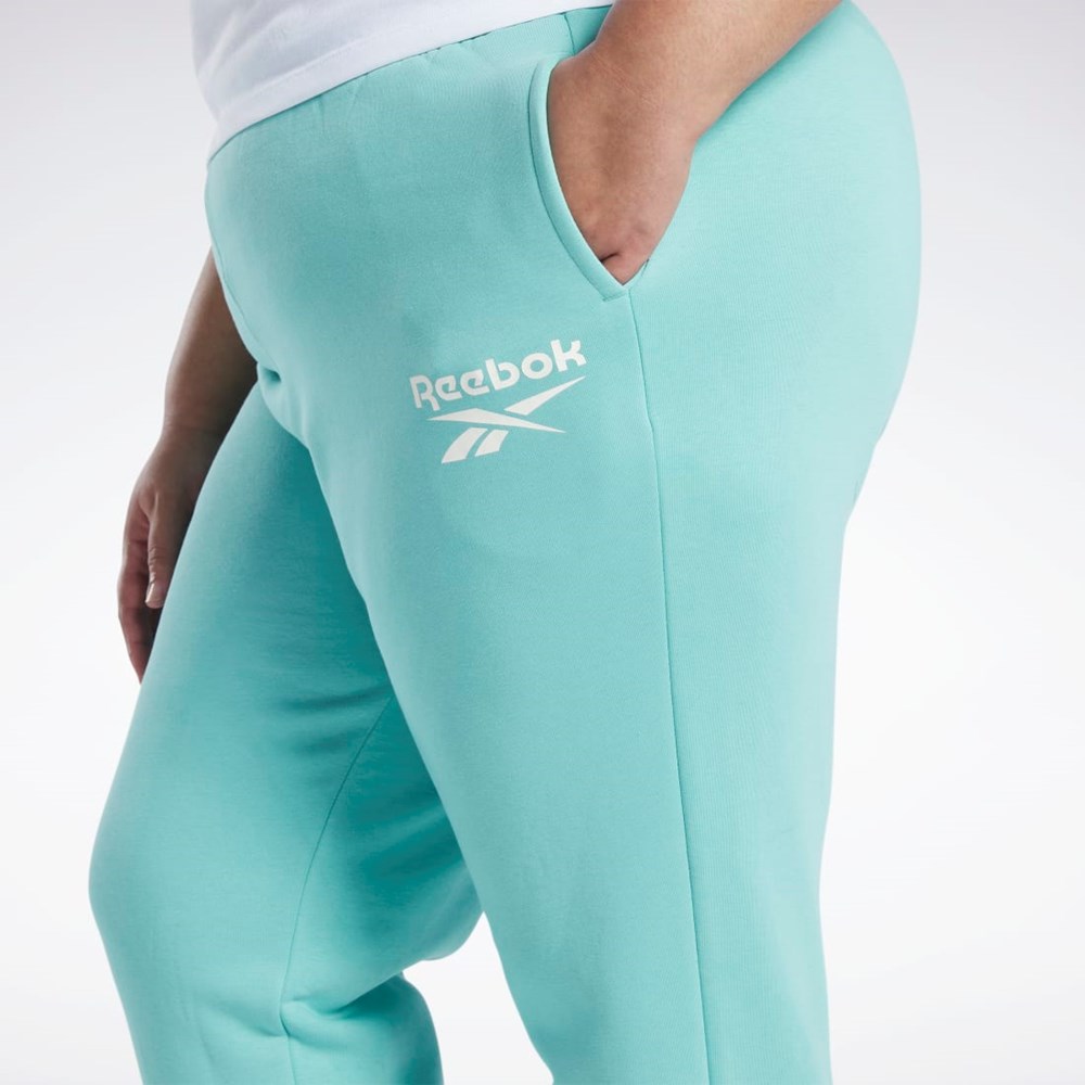 Reebok Reebok Identity Logo Fleece Joggers (Plus Size) Semi Classic Teal | PYT376984