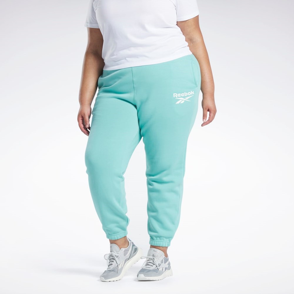 Reebok Reebok Identity Logo Fleece Joggers (Plus Size) Semi Classic Teal | PYT376984