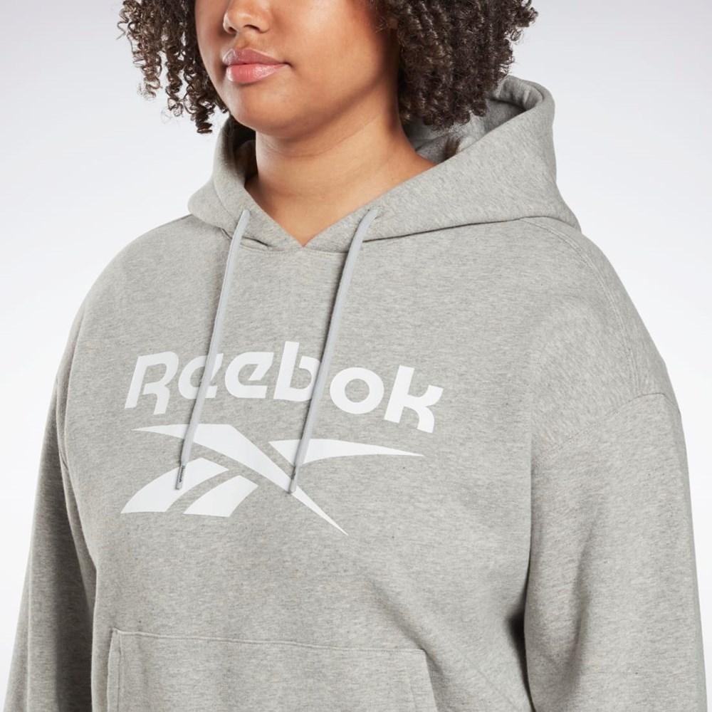 Reebok Reebok Identity Logo Fleece Pullover Hoodie (Plus Size) Grå | BTR403825