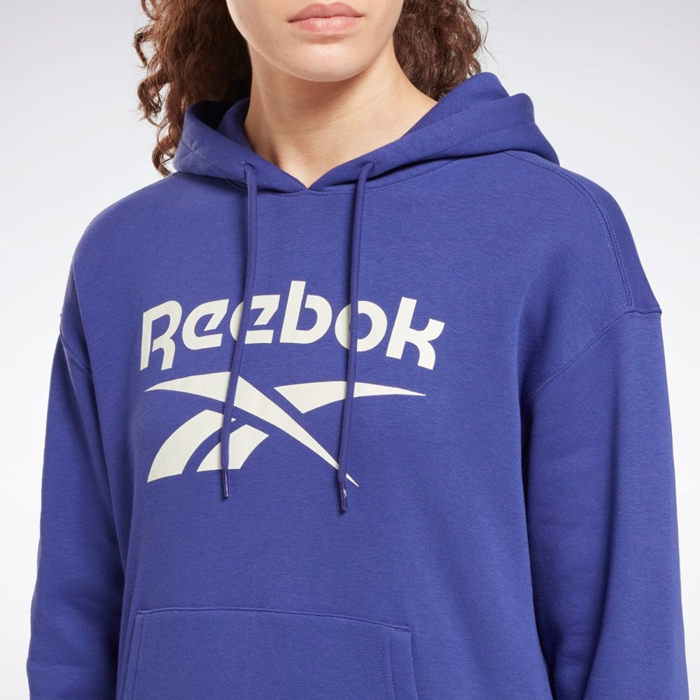 Reebok Reebok Identity Logo Fleece Pullover Hoodie Lilla | GTX432159