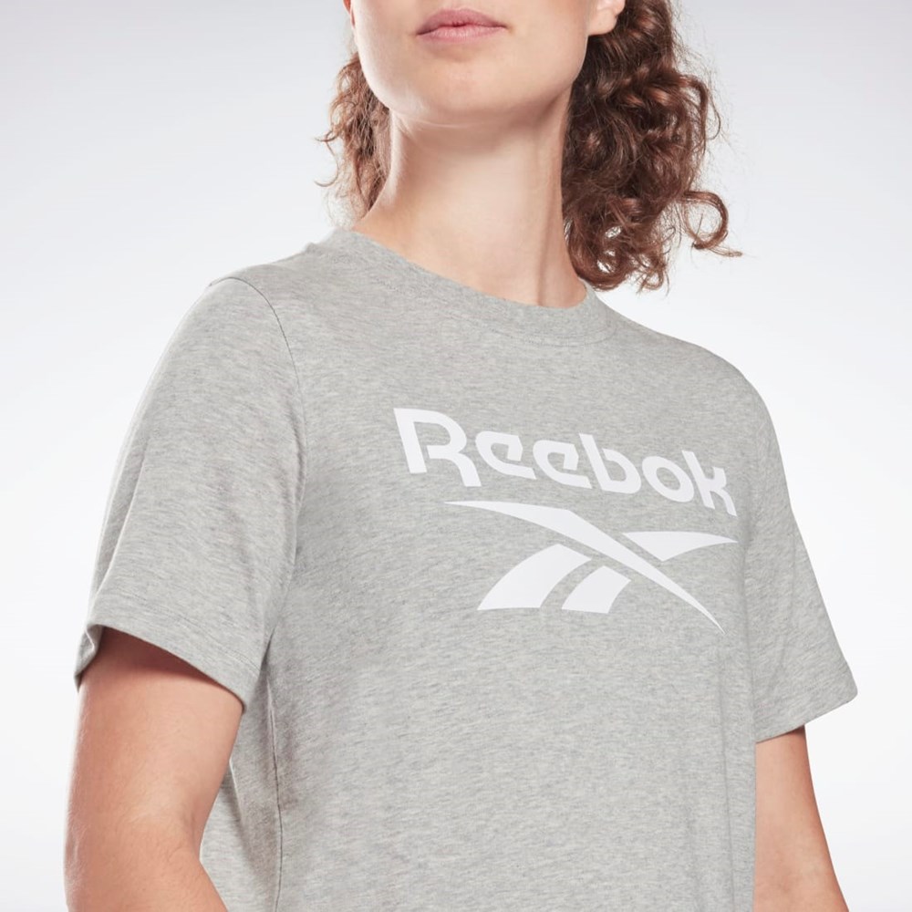 Reebok Reebok Identity T-Shirt Grå | TAY274310