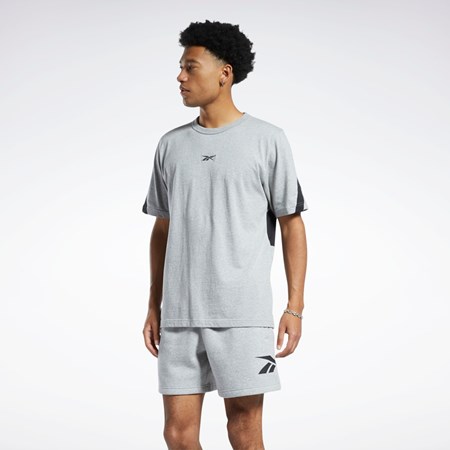 Reebok Classics Brand Proud T-Shirt Grå | ZGD124506