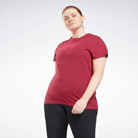 Reebok Grafisk Vector T-Shirt (Plus Size) Punch Berry | DJM319426