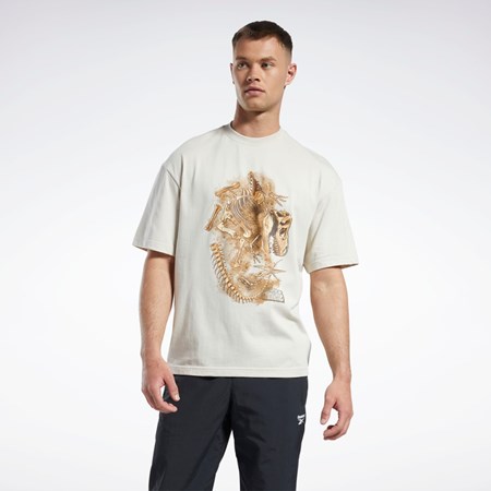 Reebok Jurassic World Fossil T-Shirt Stucco | HPC594382