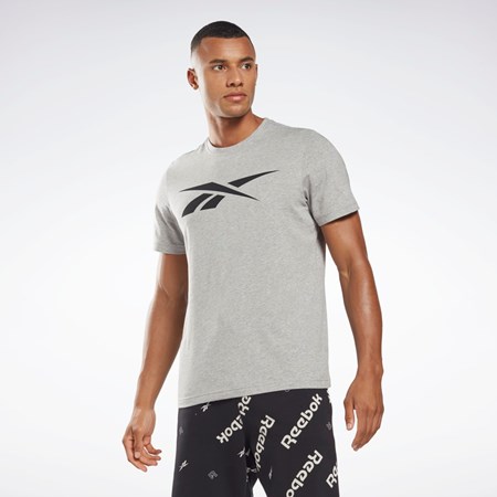 Reebok Reebok Grafisk Series Vector T-Shirt Grå | VIA310924