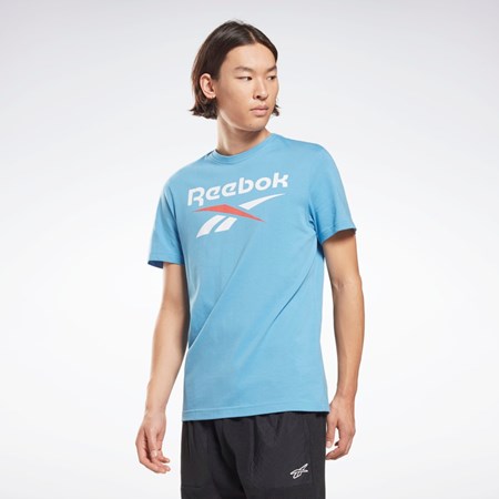 Reebok Reebok Identity Big Logo T-Shirt Blå | PEJ014876