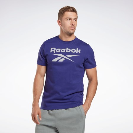 Reebok Reebok Identity Big Logo T-Shirt Lilla | YRB523780