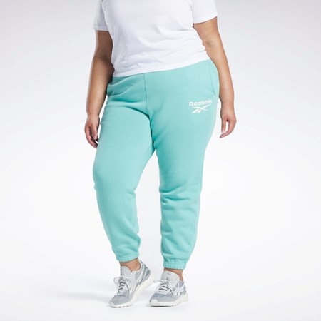 Reebok Reebok Identity Logo Fleece Joggers (Plus Size) Semi Classic Teal | PYT376984