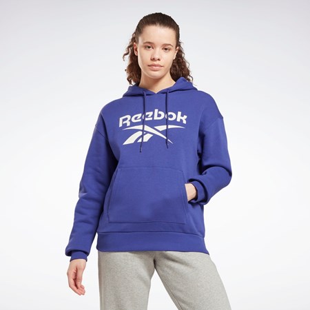 Reebok Reebok Identity Logo Fleece Pullover Hoodie Lilla | GTX432159